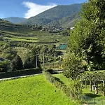 Parirolo *