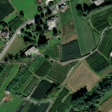 Parirolo