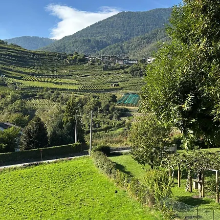Parirolo *