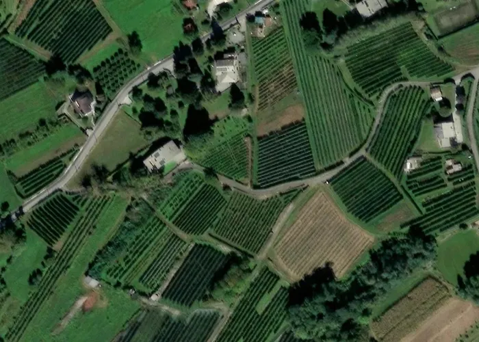 Parirolo
